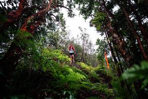 BIB: 
                            <button type="button" onclick="openModal(26201050)" class="btn btn-primary btn-sm float-right btn-popup" data-toggle="modal" data-target=".modal-high-quality">
                        <i class="fas fa-shopping-cart"></i> Add to Cart
                    </button>
                                            <button type="button" onclick="isThisMe(26201050, true)" class="btn btn-success btn-sm float-right btn-popup btn-isme hidden" data-toggle="tooltip" data-placement="bottom" title="นี่คือรูปของคุณใช่ไหม คลิกที่นี่เพื่อเอาเข้าอัลบั้ม">
                        <i class="fas fa-plus"></i> Add to album
                    </button>
                    <button type="button" onclick="isThisMe(26201050, false)" class="btn btn-warning btn-sm float-right btn-popup btn-isnotme hidden">
                        <i class="fas fa-ban"></i> Remove from album
                    </button>